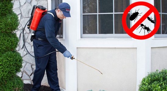 Beydağ Kene İlaçlama böcek ilaçlama ve haşere kontrolü — ilaclama-tr.com